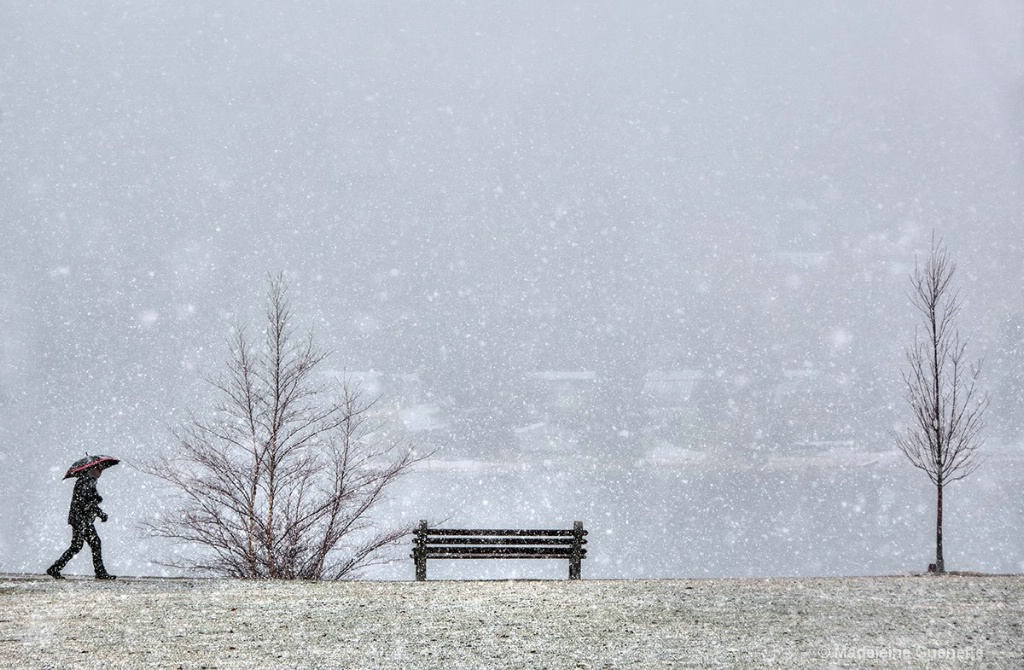 Snowy day