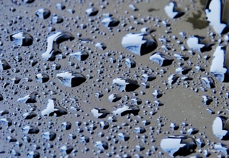 Raindrops On The Mailbox