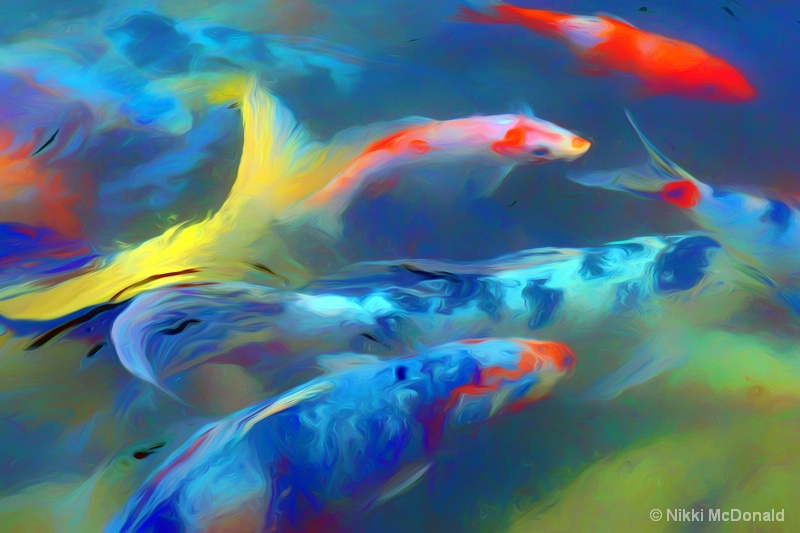 Koi Abstract