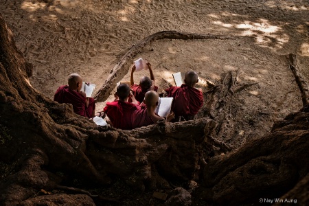 Yong Buddist Novice Monks