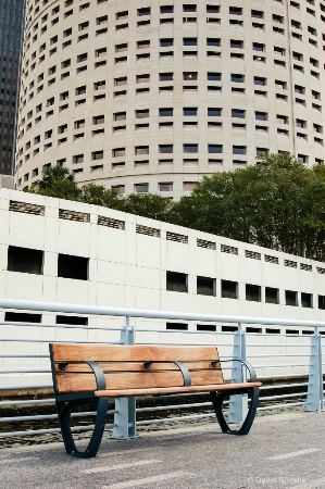 Bench and Buildings