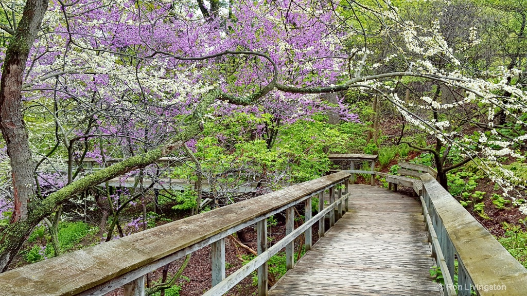 Royal Botanical Gardens