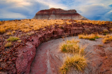 Desert Arroyo