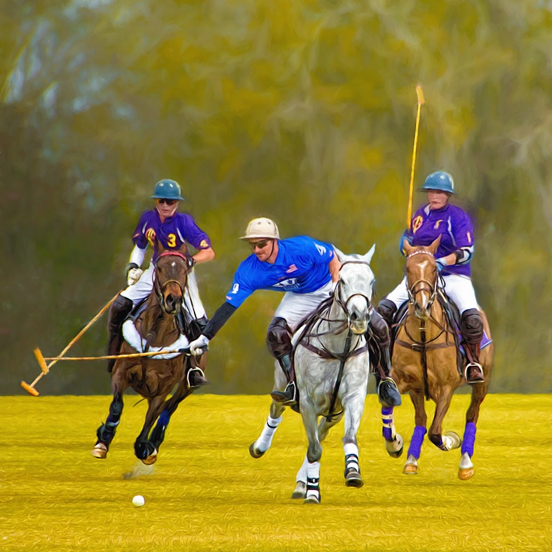 Polo Competition