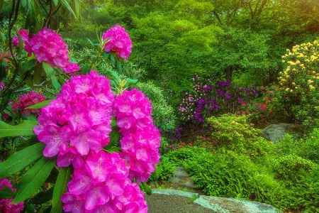 'Wide angle' in the Arboretum