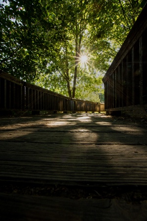 Shadows on the Walk