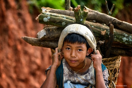 fire wood carrying boy