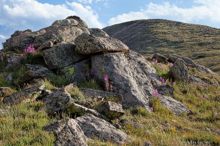 The Rock Pile