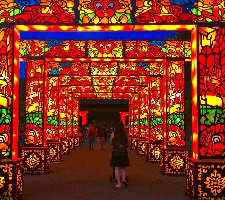 Asian Lantern Festival Display