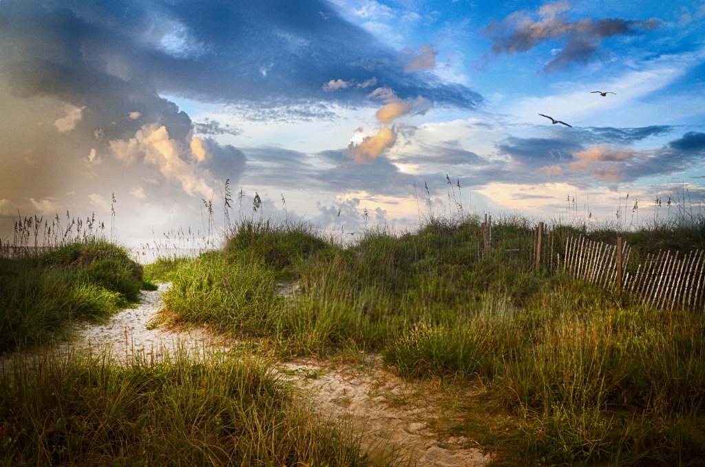 Way to the Beach