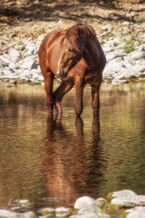 Reflecting