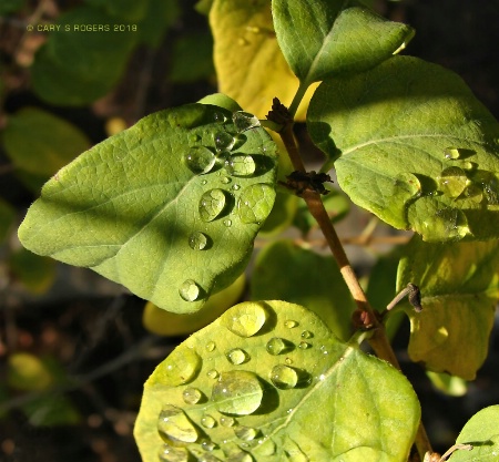 After an October Rain