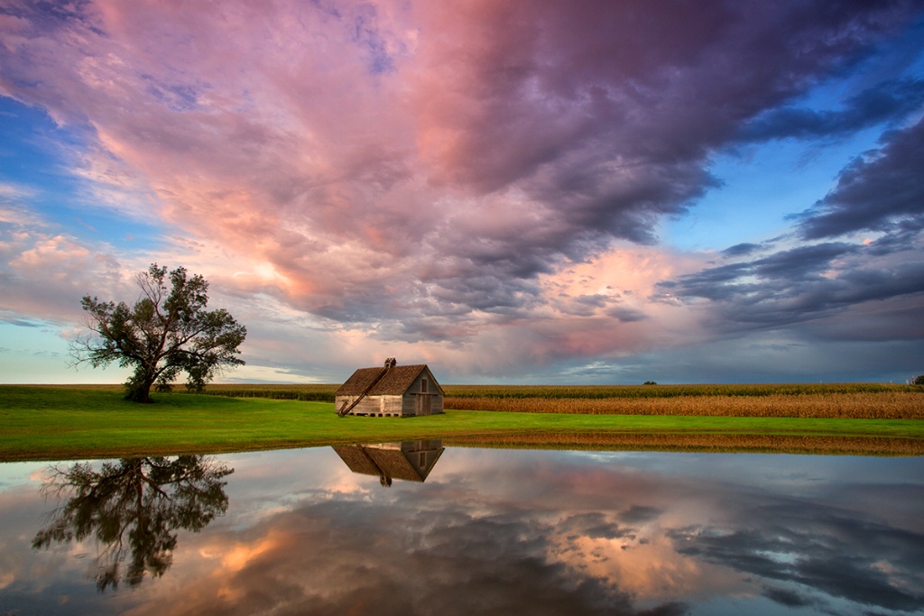 Nebraska Colors