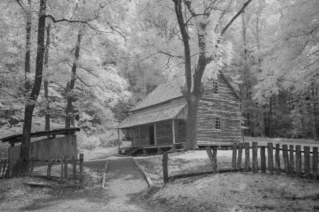 Cabin in the Cove