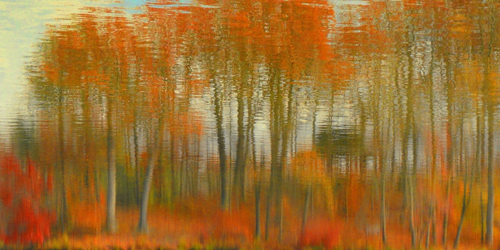 Fall's Reflection