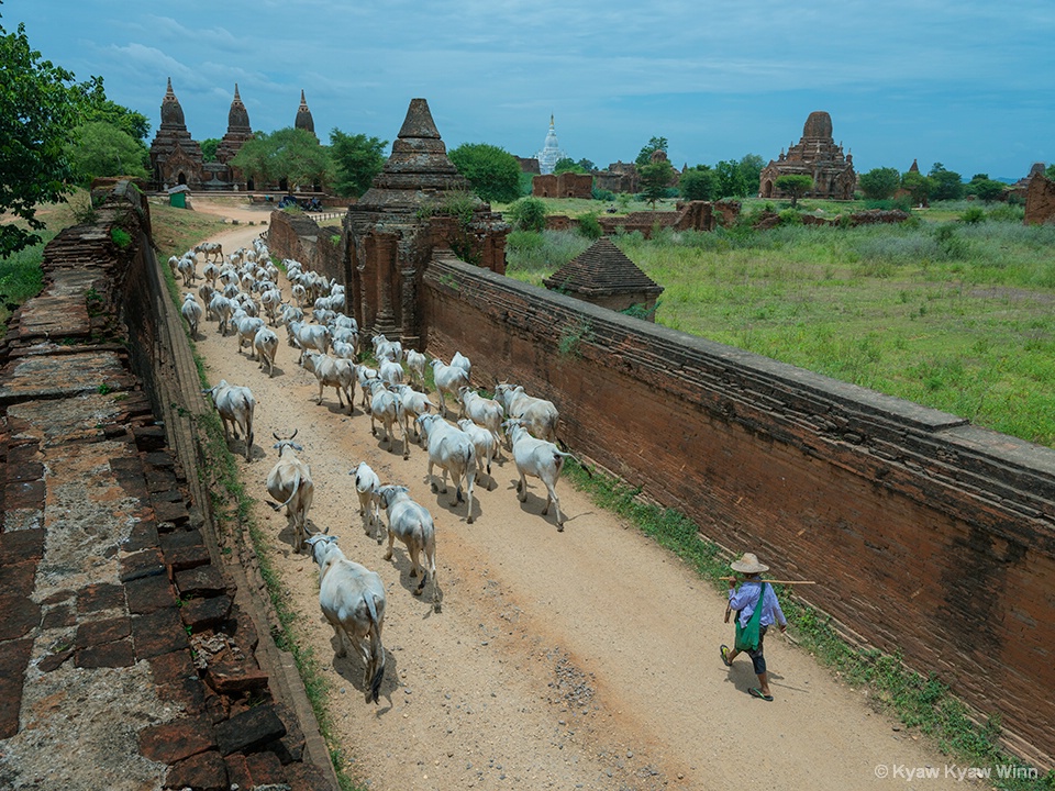 Another View of Bagan