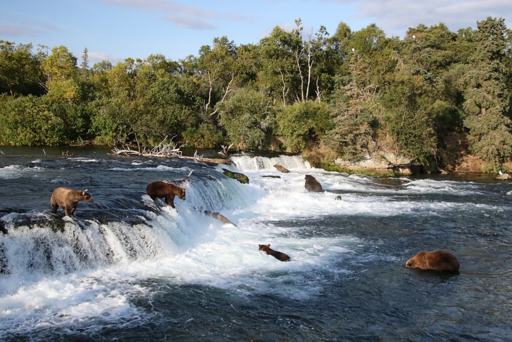 Katmai National Park