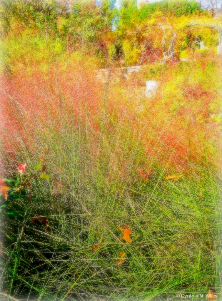 Autumn Abstract