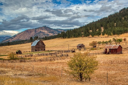 The Old Homestead