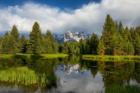 Teton Reflections 