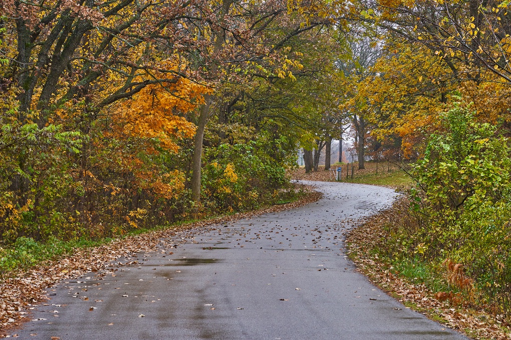 Following The Path