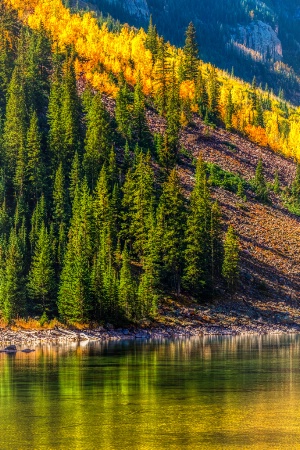 Aspen' Autumn Colors