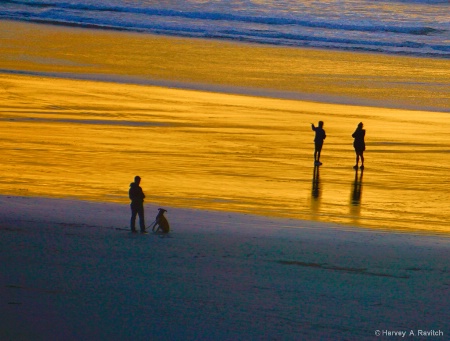 On Golden Sands...