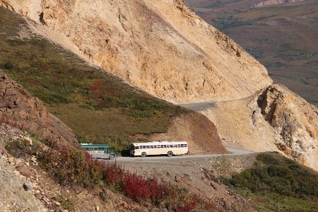 Bus Tour