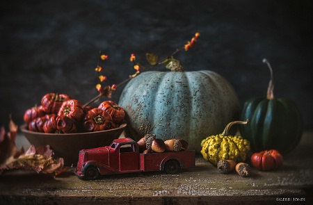 Autumn Still Life