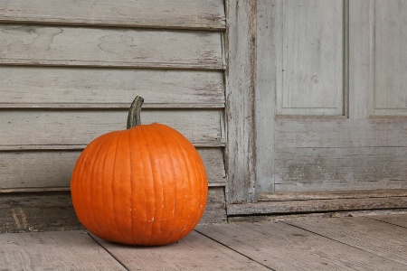 Pumpkin at the Door