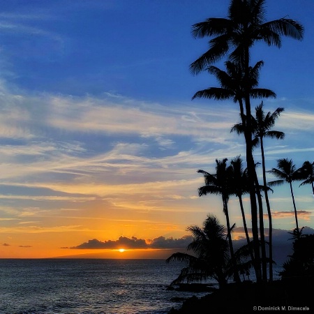 ~ ~ SUNSET IN THE BEACH ~ ~ 