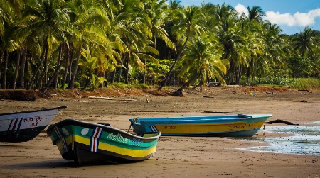 fishing boats