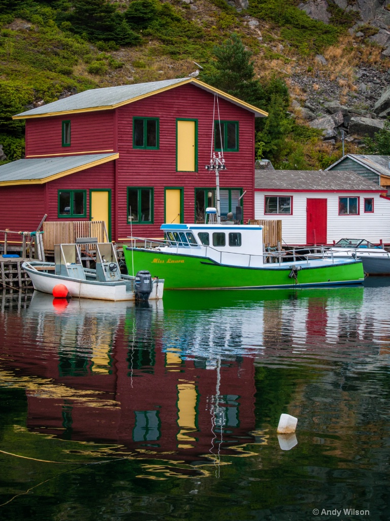 Reflections On Quidi Vidi