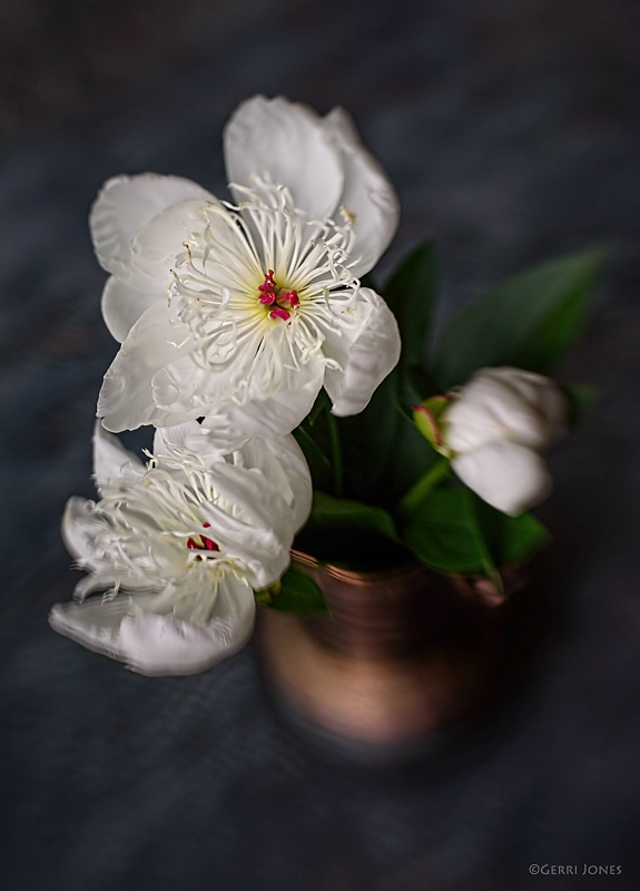 Single Whites in A Vase