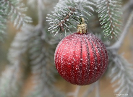 Decorations Of Red