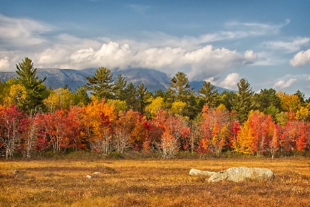 Autumn on the Golden Road  