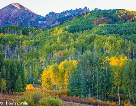 Horse Ranch Park, Colorado