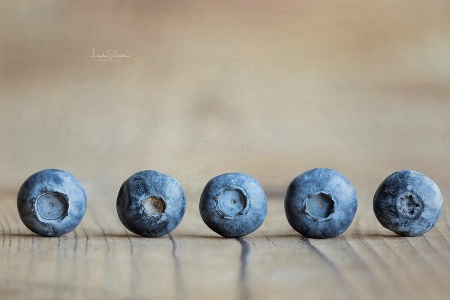 The Eye of the Blueberry