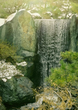 Waterfall In Japanese Garden