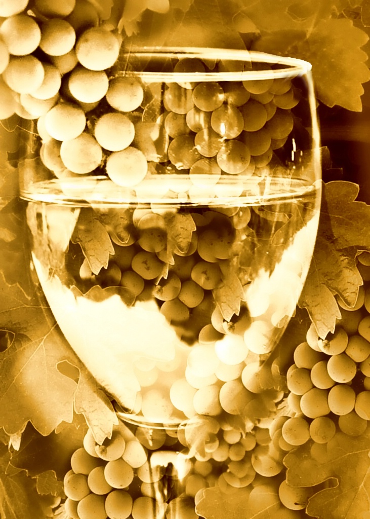 Sepia Wine