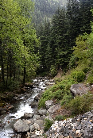 Jibhi Valley