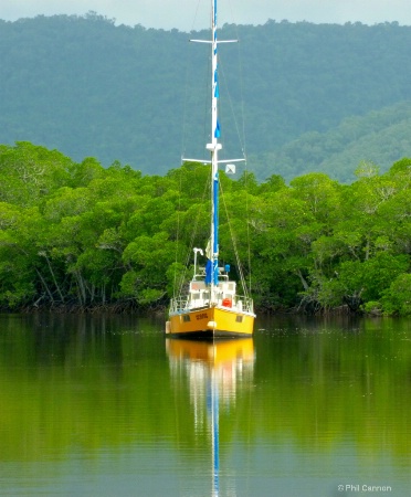 Cape Tribulation