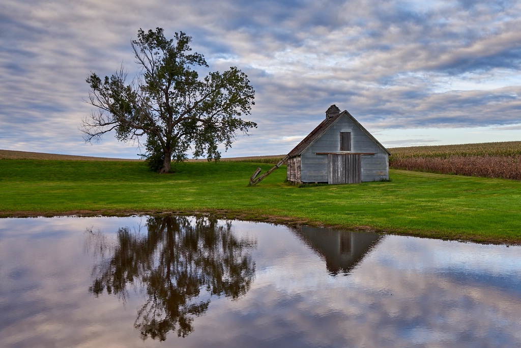 A Fall Reflection