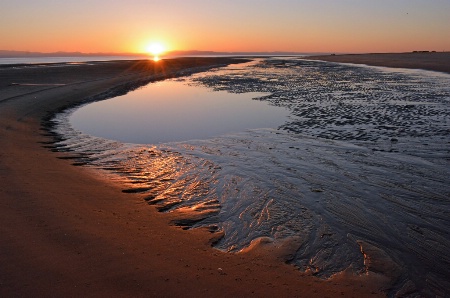 Low Tide