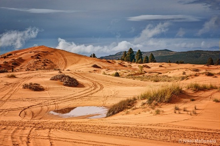 Ridden Dunes