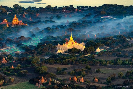Bagan morning glory