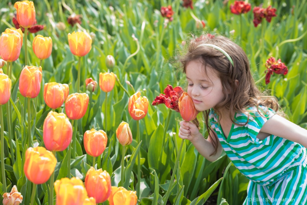 Stopping to Smell the Flowers - ID: 15698390 © Elliot Barnathan