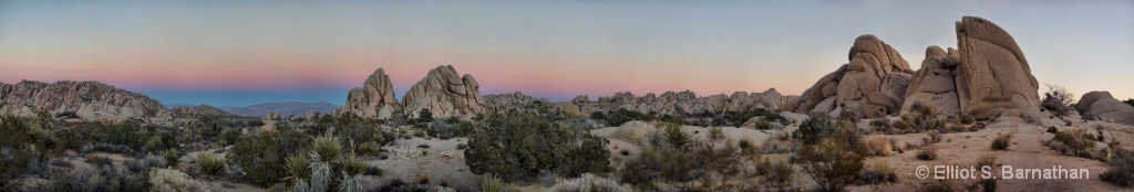 JoshuaTree 1 - ID: 15698425 © Elliot Barnathan