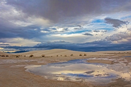 Desert Reflections  