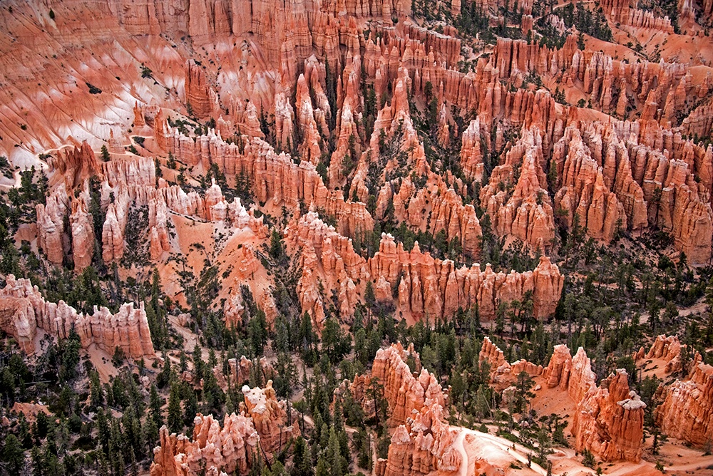 The Hoodoos at Bryce Canyon